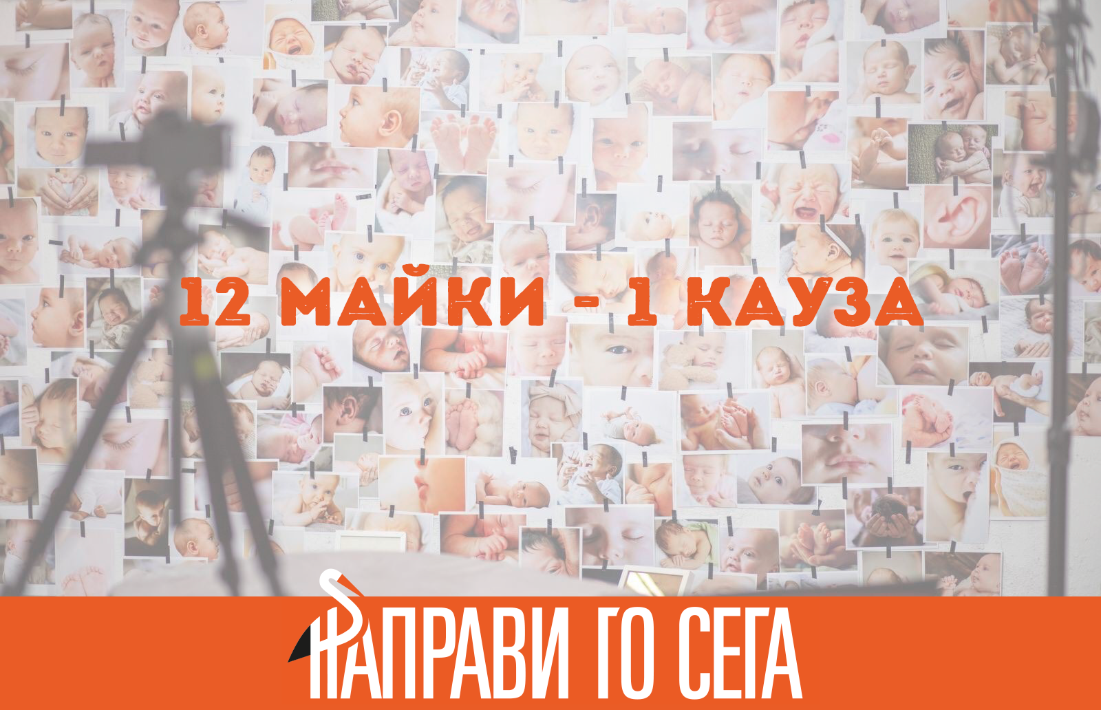 12 жени – Една кауза