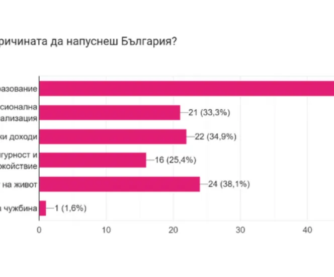 Анкета Виена (2)