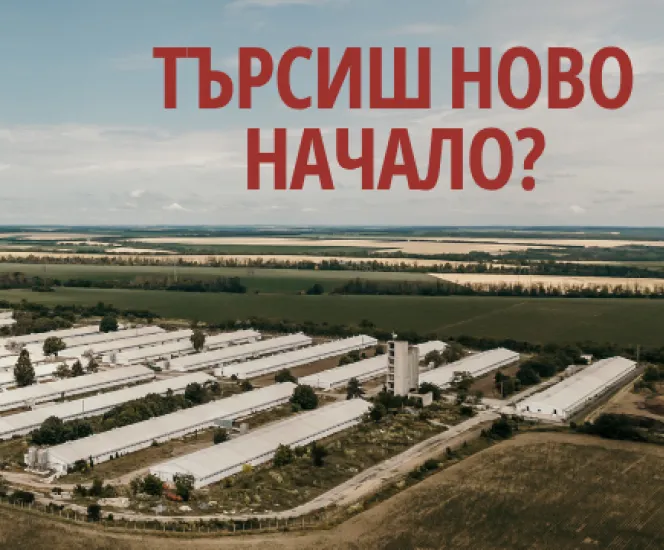 ТЪРСИШ НОВО НАЧАЛО -Основенбанер