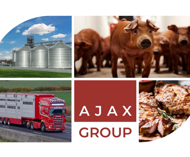 Colage_AjaxGroup