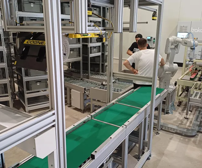 DWS scanning system for parcels