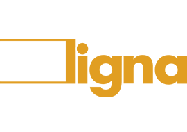 Ligna Group_logo